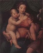 unknow artist The Madonna and child with the infant saint john the baptist Germany oil painting artist